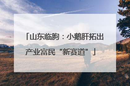 山东临朐：小鹅肝拓出产业富民“新赛道”