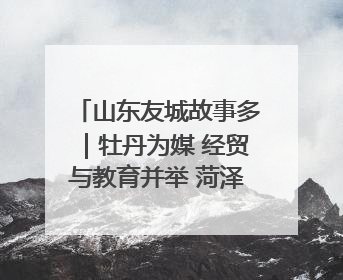 山东友城故事多｜牡丹为媒 经贸与教育并举 菏泽国际“朋友圈”扩容升级