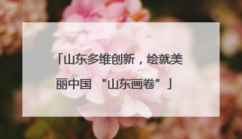山东多维创新，绘就美丽中国 “山东画卷”