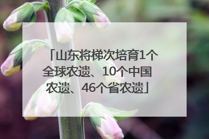 山东将梯次培育1个全球农遗、10个中国农遗、46个省农遗