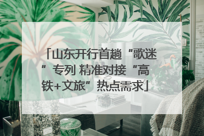 山东开行首趟“歌迷”专列 精准对接“高铁+文旅”热点需求