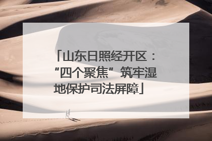 山东日照经开区：“四个聚焦”筑牢湿地保护司法屏障