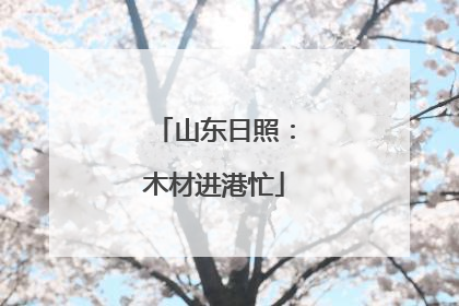 山东日照：木材进港忙