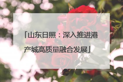 山东日照：深入推进港产城高质量融合发展
