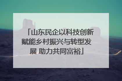 山东民企以科技创新赋能乡村振兴与转型发展 助力共同富裕