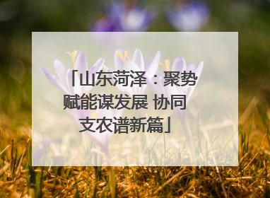 山东菏泽：聚势赋能谋发展 协同支农谱新篇
