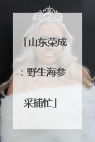 山东荣成：野生海参采捕忙