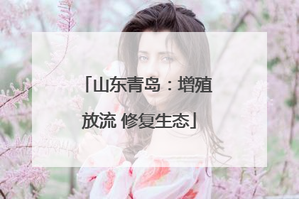 山东青岛：增殖放流 修复生态