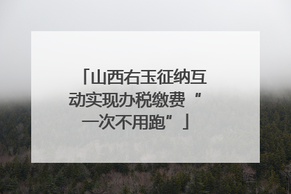 山西右玉征纳互动实现办税缴费“一次不用跑”