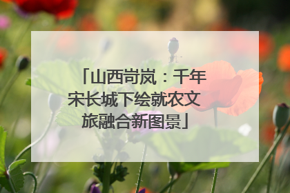 山西岢岚：千年宋长城下绘就农文旅融合新图景