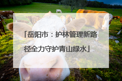 岳阳市：护林管理新路径全力守护青山绿水
