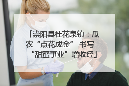 崇阳县桂花泉镇：瓜农“点花成金” 书写“甜蜜事业”增收经