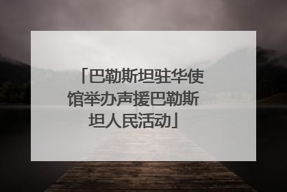 巴勒斯坦驻华使馆举办声援巴勒斯坦人民活动