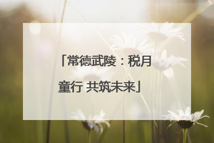 常德武陵：税月童行 共筑未来