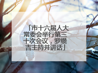市十六届人大常委会举行第三十次会议，罗缵吉主持并讲话