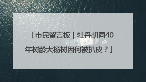 市民留言板｜牡丹胡同40年树龄大杨树因何被扒皮？