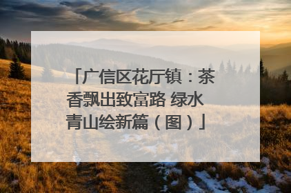 广信区花厅镇：茶香飘出致富路 绿水青山绘新篇（图）