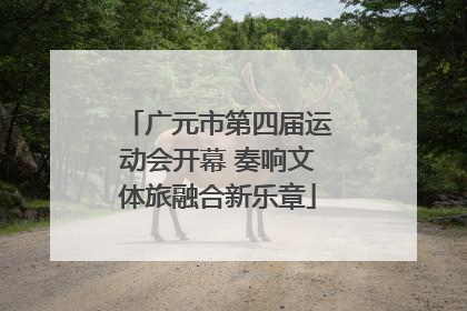 广元市第四届运动会开幕 奏响文体旅融合新乐章