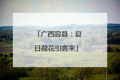 广西容县：夏日荷花引客来