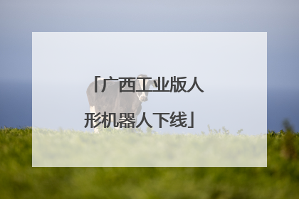 广西工业版人形机器人下线