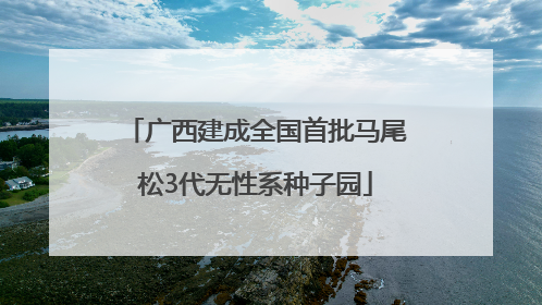 广西建成全国首批马尾松3代无性系种子园