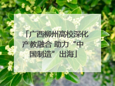 广西柳州高校深化产教融合 助力“中国制造”出海