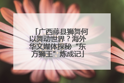 广西藤县狮舞何以舞动世界？海外华文媒体探秘“东方狮王”炼成记