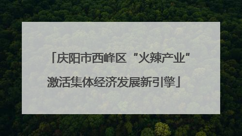 庆阳市西峰区“火辣产业”激活集体经济发展新引擎
