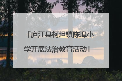 庐江县柯坦镇陈埠小学开展法治教育活动