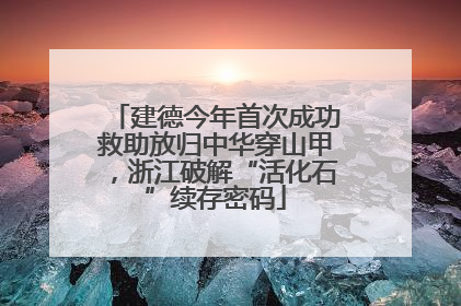 建德今年首次成功救助放归中华穿山甲，浙江破解“活化石”续存密码