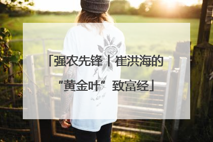 强农先锋丨崔洪海的“黄金叶”致富经