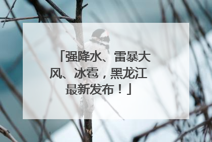 强降水、雷暴大风、冰雹，黑龙江最新发布！