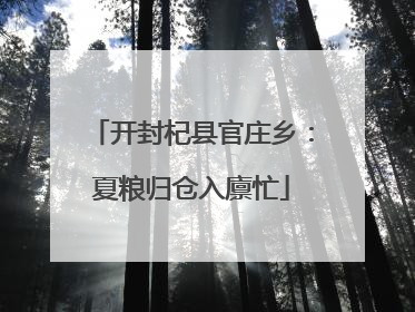 开封杞县官庄乡：夏粮归仓入廪忙
