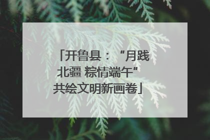 开鲁县：“月践北疆 粽情端午”共绘文明新画卷
