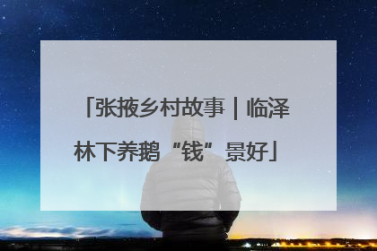 张掖乡村故事｜临泽林下养鹅“钱”景好