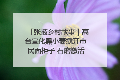 张掖乡村故事｜高台宣化黑小麦撬开市民面柜子 石磨激活村集体钱匣子