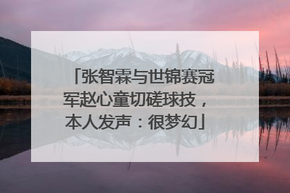 张智霖与世锦赛冠军赵心童切磋球技，本人发声：很梦幻