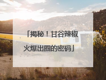 揭秘！甘谷辣椒火爆出圈的密码