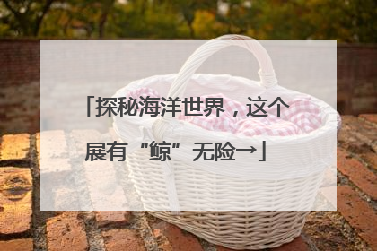 探秘海洋世界，这个展有“鲸”无险→