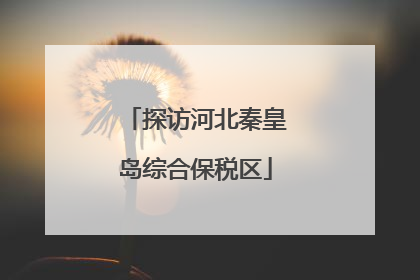 探访河北秦皇岛综合保税区