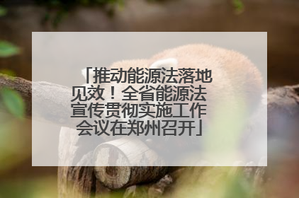 推动能源法落地见效！全省能源法宣传贯彻实施工作会议在郑州召开