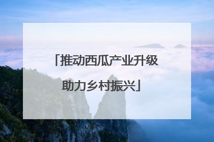 推动西瓜产业升级 助力乡村振兴