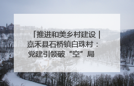 推进和美乡村建设｜嘉禾县石桥镇白珠村：党建引领破“空”局 乡贤聚力绘就新图景