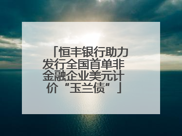 恒丰银行助力发行全国首单非金融企业美元计价“玉兰债”