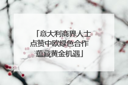 意大利商界人士点赞中欧绿色合作蕴藏黄金机遇