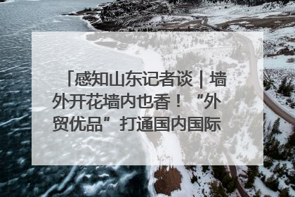 感知山东记者谈｜墙外开花墙内也香！“外贸优品”打通国内国际市场“旋转门”