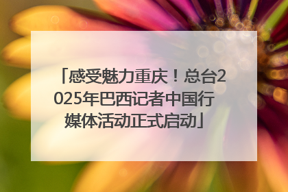 感受魅力重庆！总台2025年巴西记者中国行媒体活动正式启动