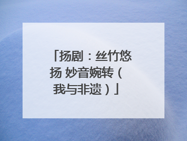 扬剧：丝竹悠扬 妙音婉转（我与非遗）