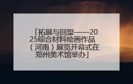 拓展与回望——2025综合材料绘画作品（河南）展览开幕式在郑州美术馆举办