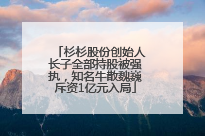 杉杉股份创始人长子全部持股被强执，知名牛散魏巍斥资1亿元入局